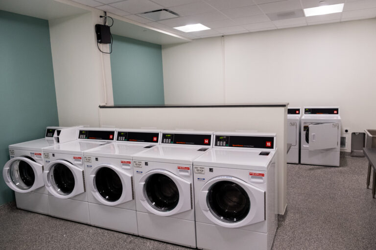 franta-laundry-room